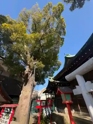 五方山熊野神社(東京都)