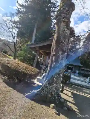 熊野本宮社の{uncategorized: "未分類", other: "その他", undefined: "問題あり", building: "その他建物", grave: "お墓", sacred_gate: "鳥居", guardian: "狛犬", statue: "像", buddha: "仏像", history: "歴史", nature: "自然", garden: "庭園", animal: "動物", pagoda: "塔", temizu: "手水舎", mountain_gate: "山門・神門", sanctuary: "本殿・本堂", subordinate: "末社・摂社", art: "芸術", scenery: "景色", jizo: "地蔵", ema: "絵馬", goshuin: "御朱印", omikuji: "おみくじ", items: "授与品その他", amulet: "お守り", goshuincho: "御朱印帳", eats: "食事", festival: "お祭り", votive_dance: "神楽", shichigosan: "七五三参", wedding: "結婚式", experience: "体験その他", initially: "初詣", around: "周辺", anti_infection: "感染症対策"}