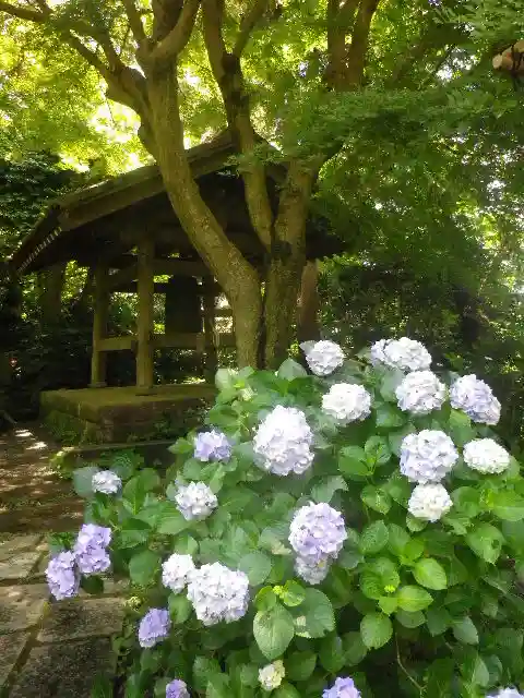 瑞泉寺のその他建物