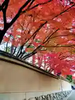 東福禅寺(東福寺)(京都府)