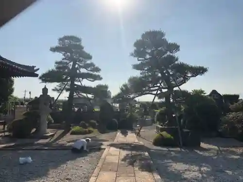 法源寺のその他建物