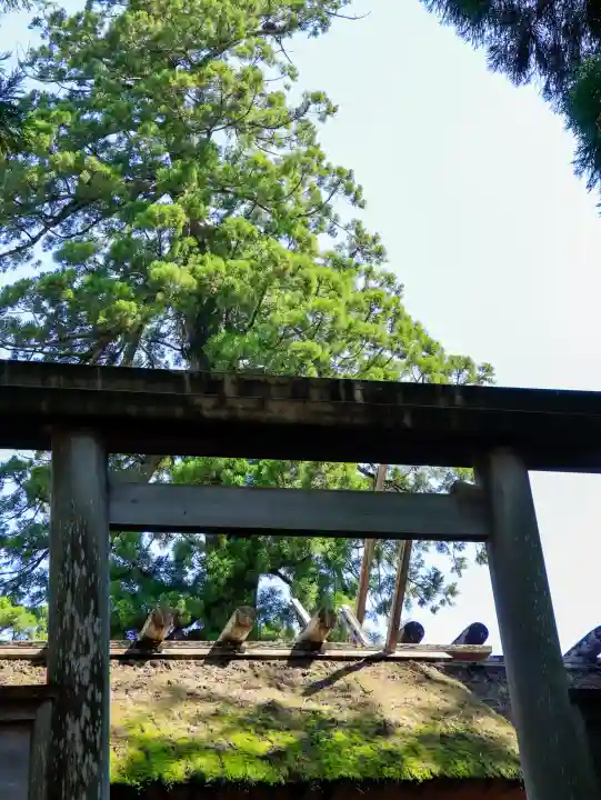 伊勢神宮内宮(皇大神宮)(三重県)