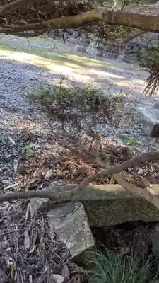 神明白山社相殿（杁下）のその他建物