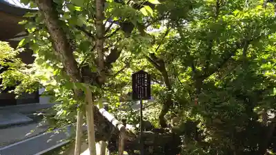 朝護孫子寺(奈良県)