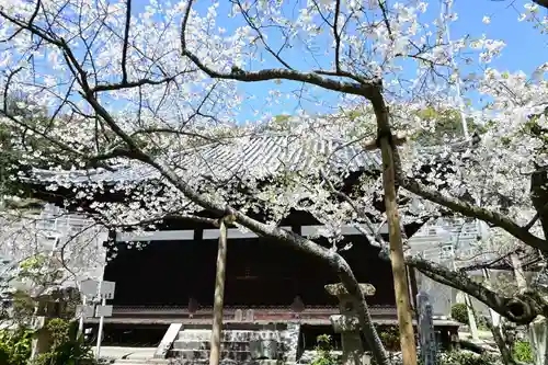 大宝寺(愛媛県)