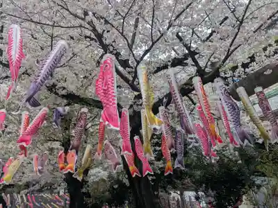 くまくま神社(導きの社 熊野町熊野神社)(東京都)
