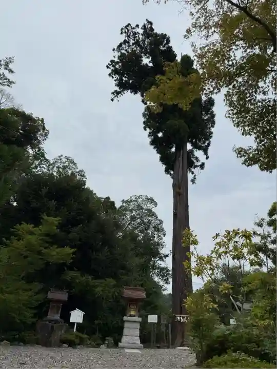 鶴峯八幡宮(千葉県)