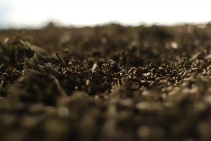 高台寺(高台寿聖禅寺・高臺寺)(京都府)