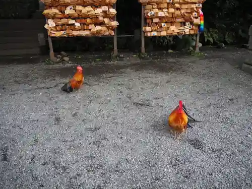 谷保天満宮の動物