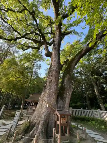 伊弉諾神宮(兵庫県)
