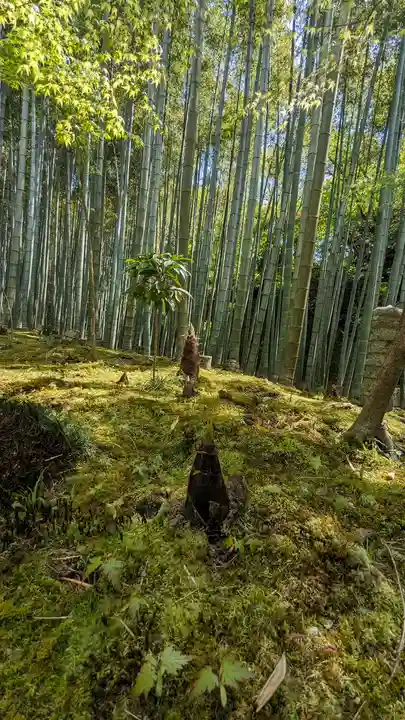 圓光寺(京都府)