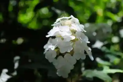 浄土寺(兵庫県)
