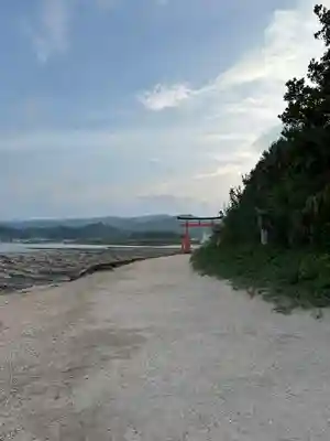 青島神社(青島神宮)の鳥居