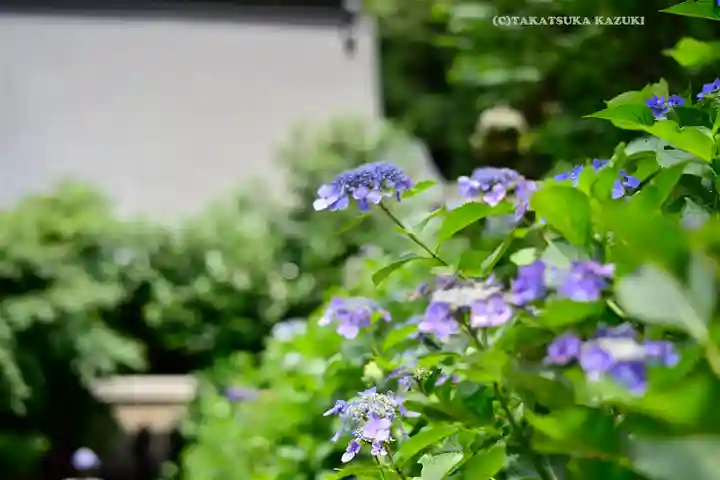 太平山神社(栃木県)
