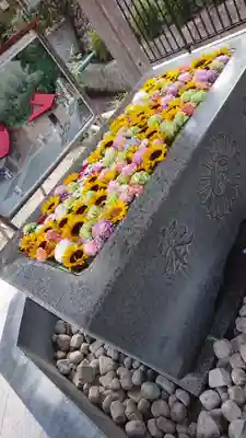 金蛇水神社(宮城県)