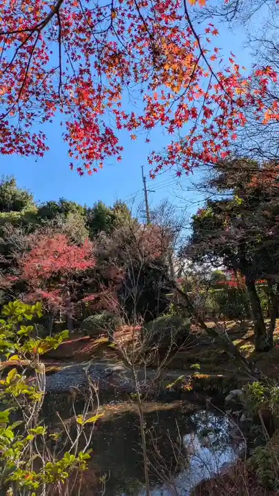法金剛院(京都府)