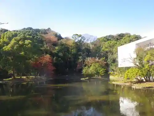 鶴岡八幡宮の庭園