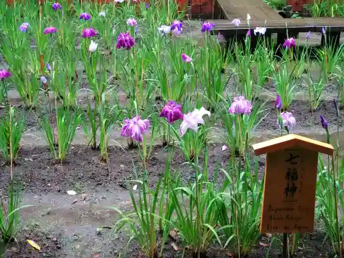 明月院(神奈川県)