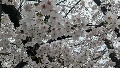 天孫神社(滋賀県)