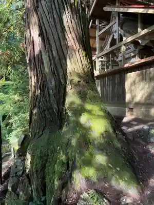 古殿八幡神社(福島県)