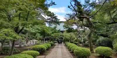 豪徳寺のその他建物