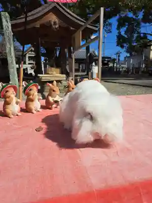 大御和神社(徳島県)