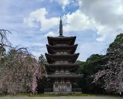 醍醐寺(京都府)