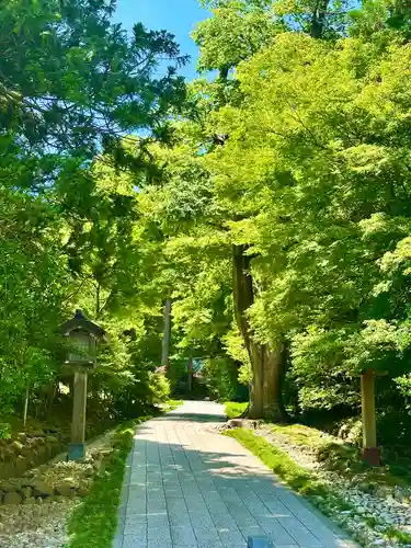 彌彦神社(新潟県)