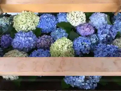 若宮八幡社の手水舎