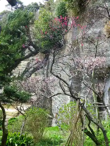 浄光明寺の自然