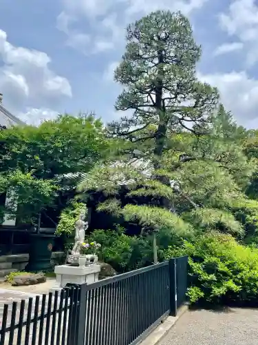東禅寺(東京都)