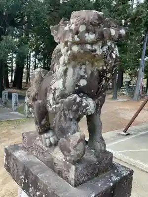 井出神社の狛犬