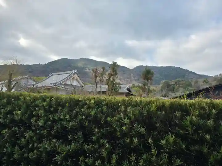 安立寺(京都府)