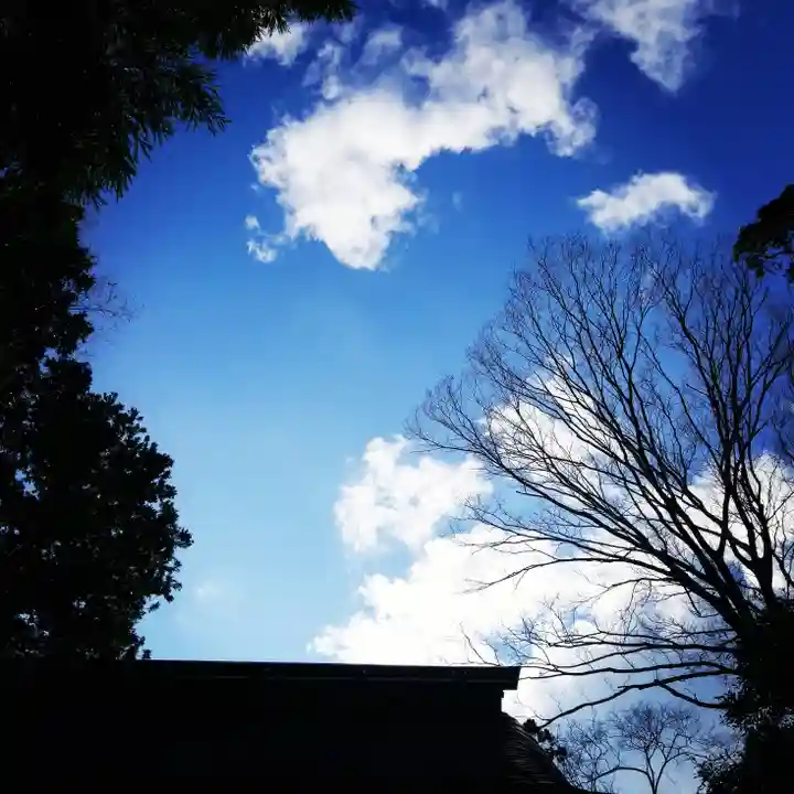 大生神社の自然