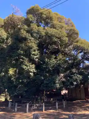 月讀神社(茨城県)