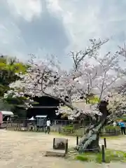 功山寺(山口県)