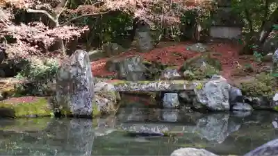 蓮華寺（洛北蓮華寺）(京都府)