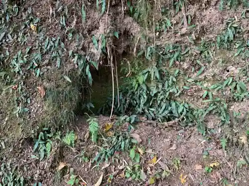 揚島天神社の自然