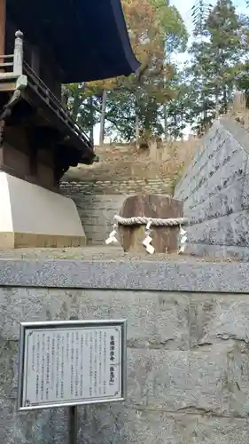 鶴崎神社の自然