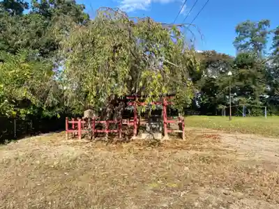 弘前天満宮の自然