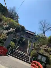 高津柿本神社の鳥居