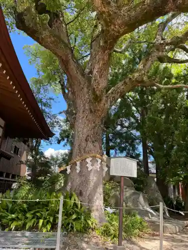 和貴宮神社(京都府)