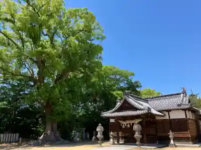 高良神社(香川県)