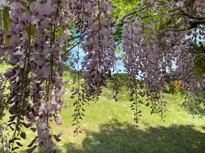 下之坊(静岡県)