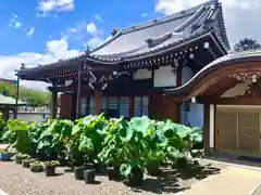 上行寺(静岡県)