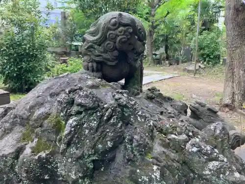 今井神社の狛犬