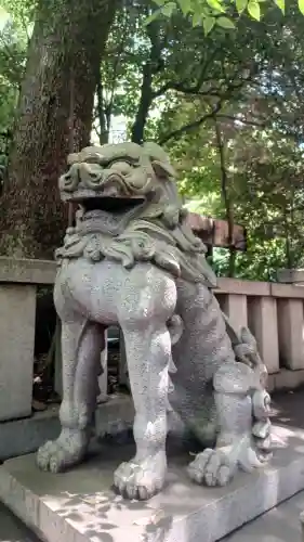 渋谷氷川神社の狛犬