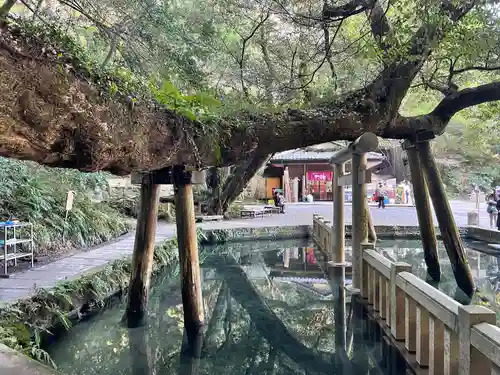 鹿島神宮の庭園