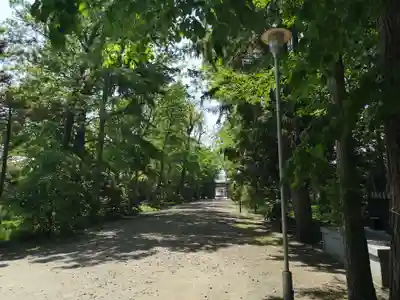 信濃神社のその他建物