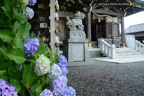 龍口明神社(神奈川県)